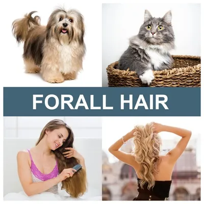 Petopia Brosse à poils d'animaux