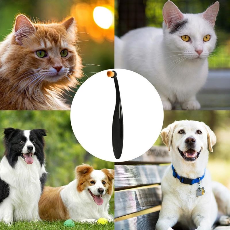 Petopia Brosse à larmes pour animaux de compagnie