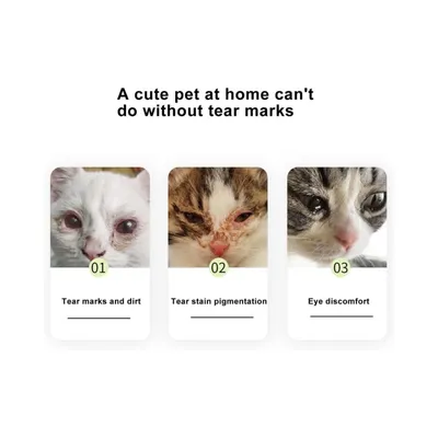 Petopia Brosse à larmes pour animaux de compagnie