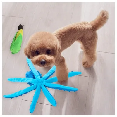 Petopia Lot de 2 jouets couinants pour chien