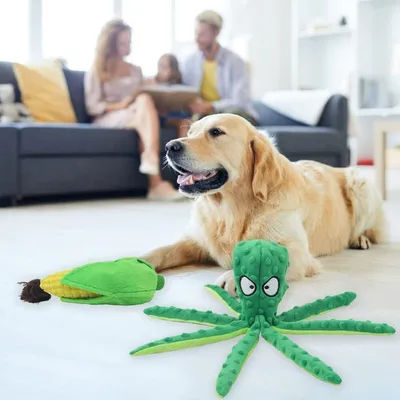 Petopia Lot de 2 jouets couinants pour chien