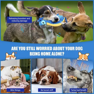 Petopia Jouet en peluche pour chien