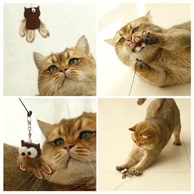 Pet Planet Baton à chat en forme de hibou avec oiseau en ficelle