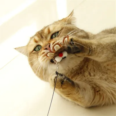 Pet Planet Baton à chat en forme de hibou avec oiseau en ficelle