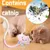 UAMLY Jouet interactif pour chat, corde à mordre à l'herbe à chat