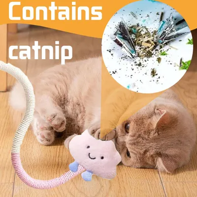 UAMLY Jouet interactif pour chat, corde à mordre à l'herbe à chat