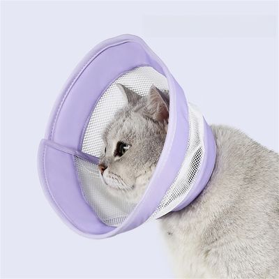 Pet Planet Collier d'Élisabeth en grille pour chats et chiens