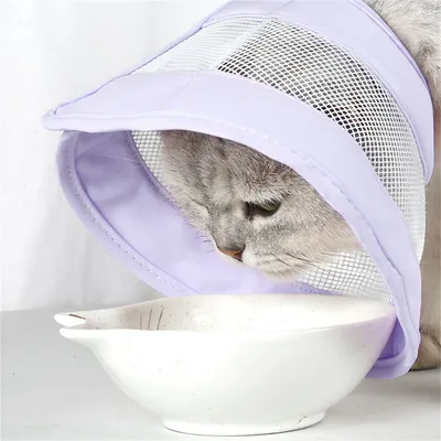 Pet Planet Collier d'Élisabeth en grille pour chats et chiens