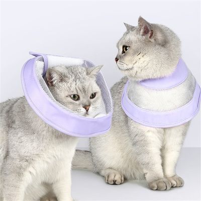 Pet Planet Collier d'Élisabeth en grille pour chats et chiens