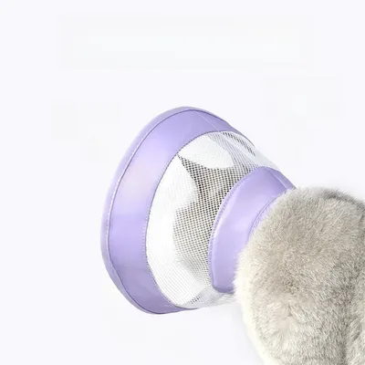 Pet Planet Collier d'Élisabeth en grille pour chats et chiens