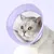 Pet Planet Collier d'Élisabeth en grille pour chats et chiens