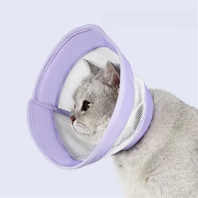 Pet Planet Collier d'Élisabeth en grille pour chats et chiens