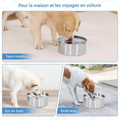 IntiMeg Gamelle d'eau anti - éclaboussure 3L pour chien