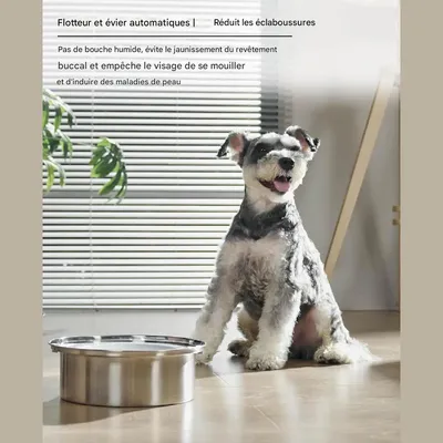 IntiMeg Gamelle d'eau anti - éclaboussure pour chien