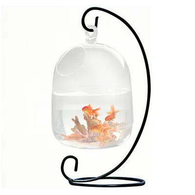 IntiMeg Petit aquarium