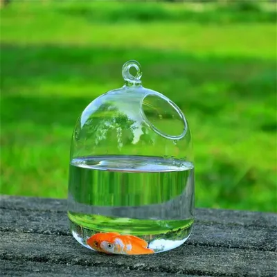 IntiMeg Petit aquarium