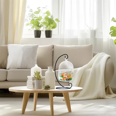 IntiMeg Petit aquarium