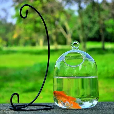 IntiMeg Petit aquarium