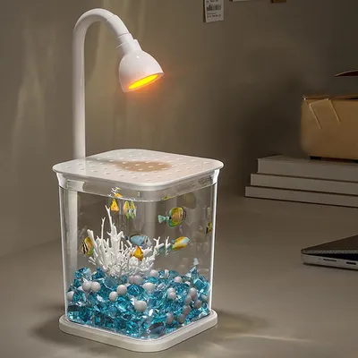 IntiMeg Petit aquarium