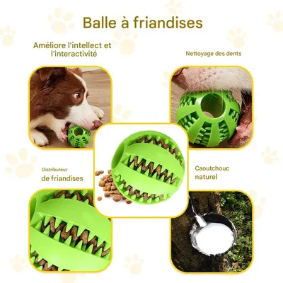 IntiMeg 9er-Set interaktives Hundespielzeug IntiMeg 9er-Set interaktives Hundespielzeug
