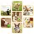 IntiMeg 9er-Set interaktives Hundespielzeug IntiMeg 9er-Set interaktives Hundespielzeug