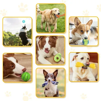 IntiMeg 9er-Set interaktives Hundespielzeug IntiMeg 9er-Set interaktives Hundespielzeug