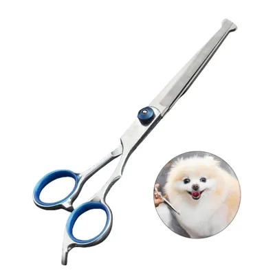 Petopia Ensemble de ciseaux de toilettage pour chien