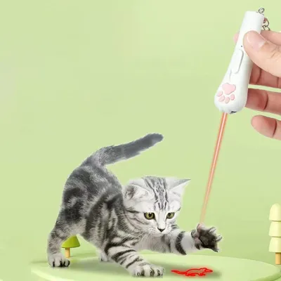 UAMLY Laser à griffes de chat pour taquiner les chats