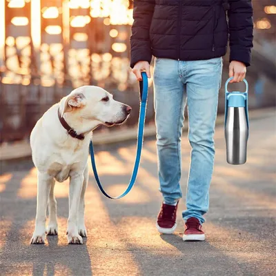 Pet Planet Gourde pour chien 750 ml