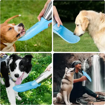 Pet Planet Gourde pour chien 750 ml