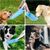 Pet Planet Gourde pour chien 750 ml