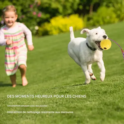 IntiMeg Balle à mâcher pour chien avec corde