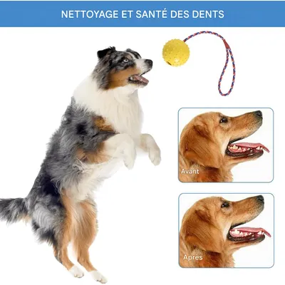 IntiMeg Balle à mâcher pour chien avec corde