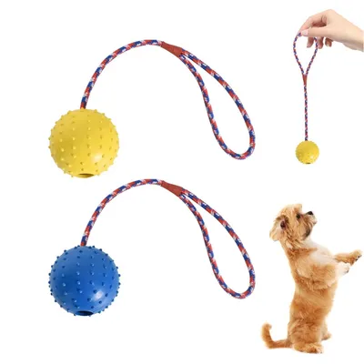 IntiMeg Balle à mâcher pour chien avec corde