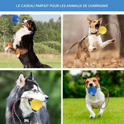IntiMeg Balle à mâcher pour chien avec corde