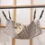 UAMLY Hamac pour Chat, Lit Suspendu pour Animaux