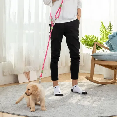 UAMLY Laisse pour mains libres réfléchissantes pour chien UAMLY Laisse pour mains libres réfléchissantes pour chien
