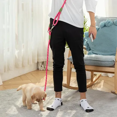 UAMLY Laisse pour mains libres réfléchissantes pour chien UAMLY Laisse pour mains libres réfléchissantes pour chien