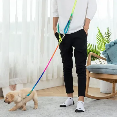 UAMLY Laisse pour mains libres réfléchissantes pour chien