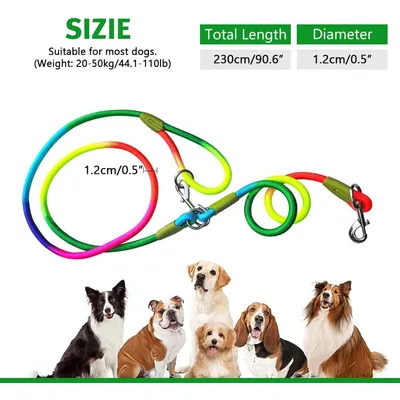 UAMLY Laisse pour mains libres réfléchissantes pour chien