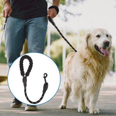 Petopia Laisse pour chien