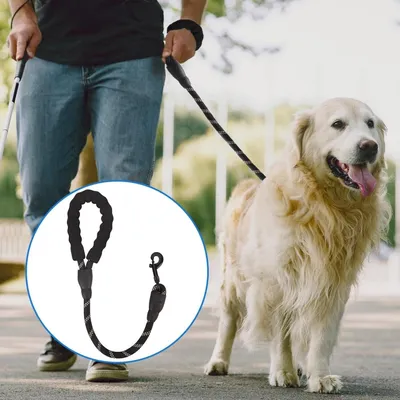 Petopia Laisse pour chien