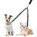 Petopia Double laisse pour chien