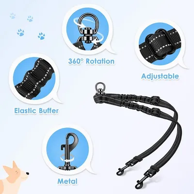 Petopia Double laisse pour chien