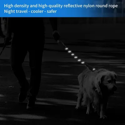 Petopia Laisse pour chien