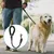 Petopia Laisse pour chien