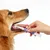 Petopia Gel de réparation buccale pour animaux de compagnie