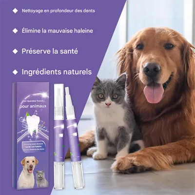 Petopia Gel de réparation buccale pour animaux de compagnie Petopia Gel de réparation buccale pour animaux de compagnie
