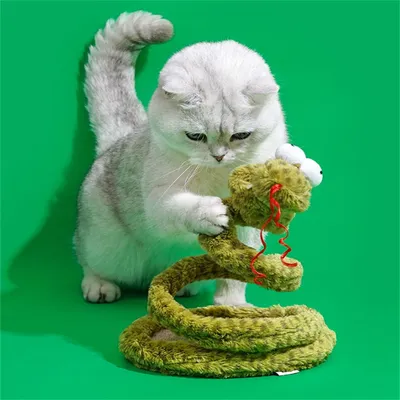 IntiMeg Jouet en forme de serpent à ressort pour chat
