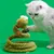 IntiMeg Jouet en forme de serpent à ressort pour chat